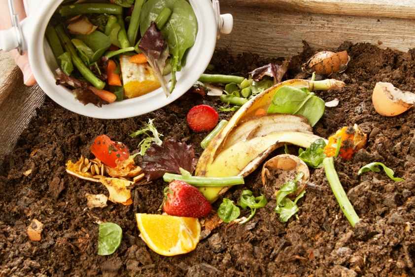 Compostage domestique : pourquoi et comment faire du compost ?