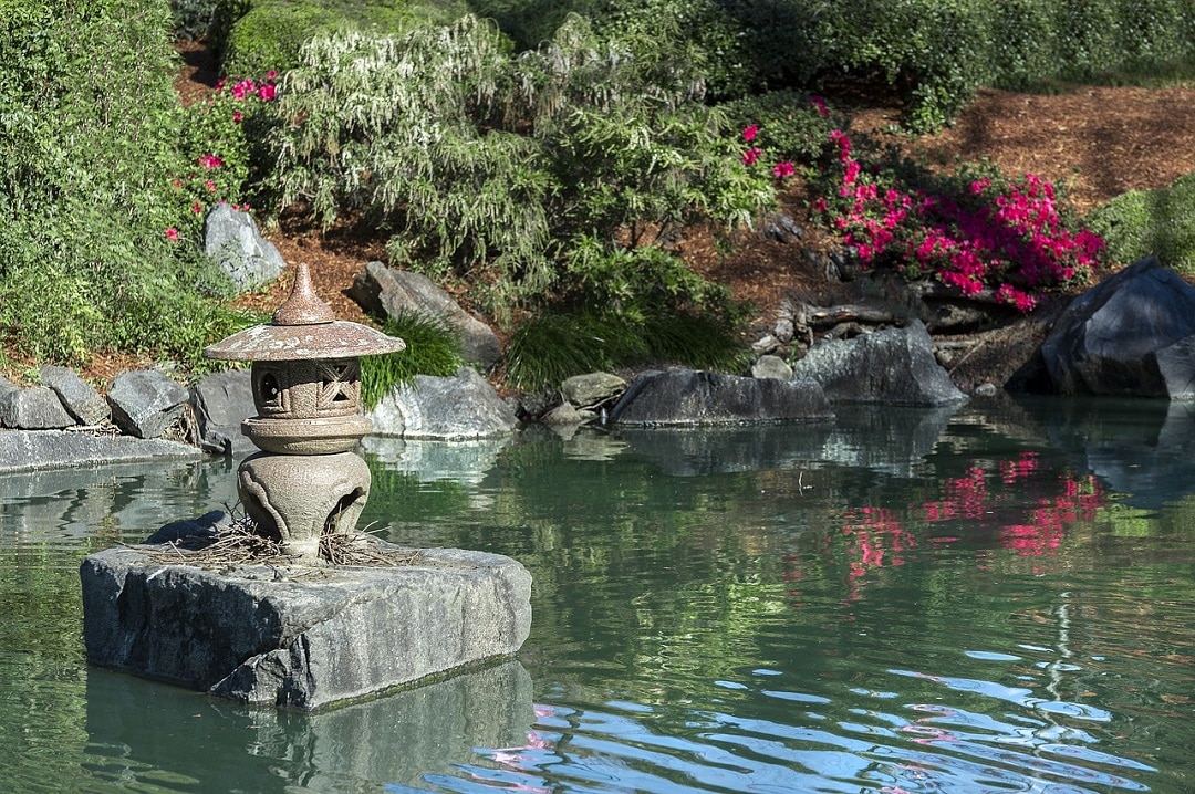 jardin aquatique pour jardin zen japonais