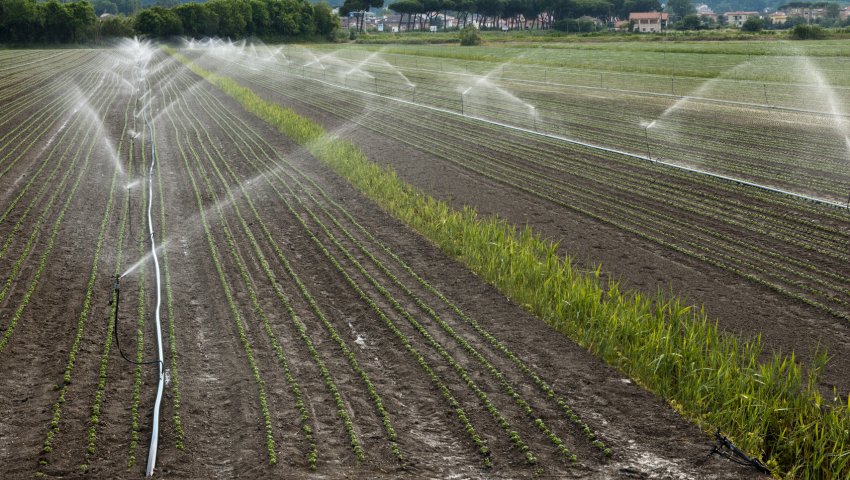 arrosage eau recyclée