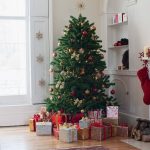 Comment choisir son sapin de Noël naturel ? Comment choisir son sapin de Noël naturel ?