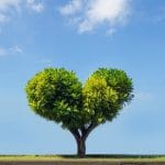 60 astuces pour la Journée de la Terre et bien plus astuces Journée de la Terre