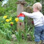 3 conseils pour réduire le gaspillage d’eau pour arroser son jardin conseils pour réduire le gaspillage d'eau pour arroser son jardin