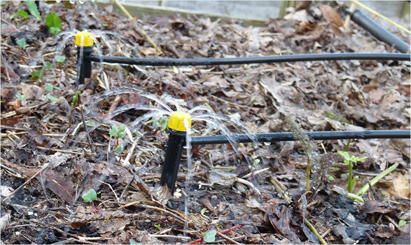 jardin arrosage automatique