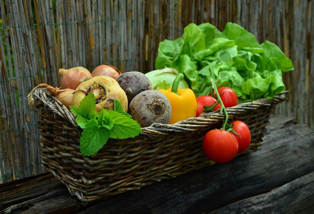legumes du jardin