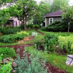 Permaculture : comment faire un jardin ou un potager durable permaculture jardin