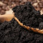Comment réutiliser le marc de café dans votre jardin réutiliser le marc de café dans votre jardin