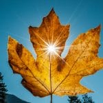 Le Chauffe-eau Solaire : écologique et économique ? fonctionnement d'un chauffe eau solaire