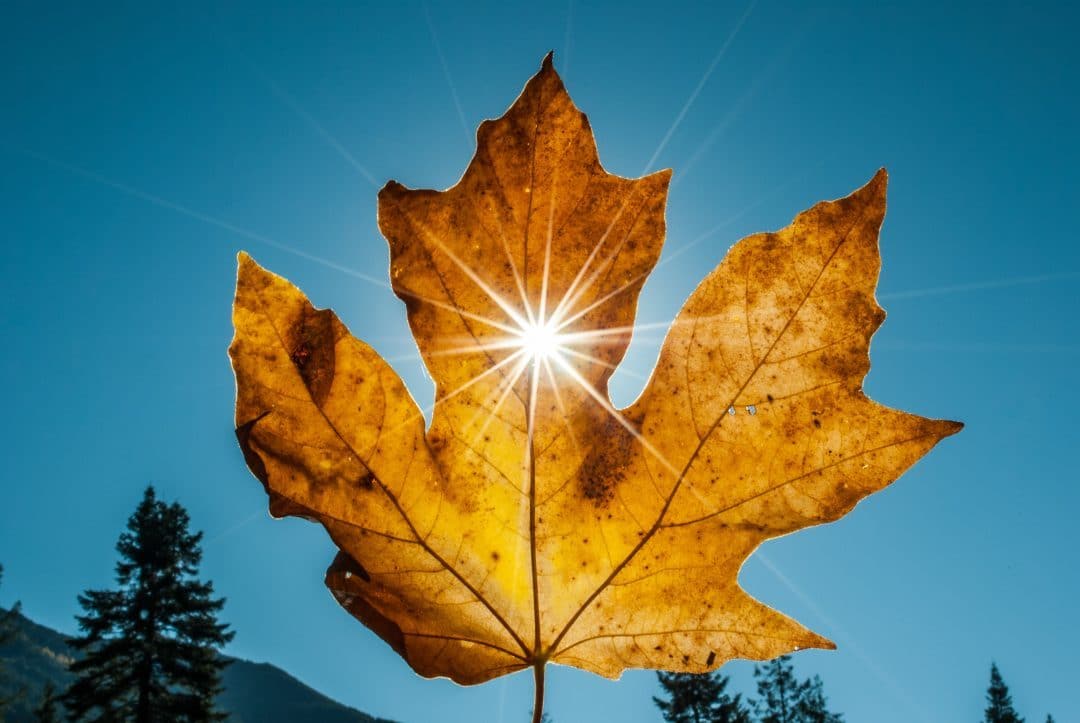 Le Chauffe-eau Solaire : écologique et économique ? fonctionnement d'un chauffe eau solaire
