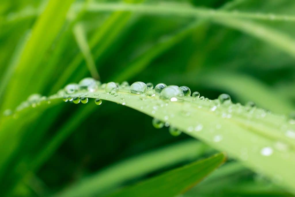chauffe eau solaire ecologique avantage et inconvenient
