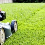 Quel type de tondeuse choisir selon son jardin ? comment choisir tondeuse