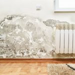 Comment réagir face à un dégât des eaux ? degat des eaux mur de maison