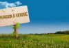Vendre un terrain : toutes les règles et conseils vendre un terrain