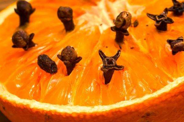 clou-girofle-plantés-dans-une-orange-antimites