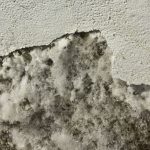 Salpêtre : comment le prévenir et s’en débarrasser naturellement ? salpêtre mur de maison