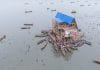 Nigeria : une école flottante pour remédier au changement climatique Ecole flottante de Lagos