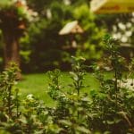 Comment aménager un petit jardin : idées, astuces, conseils conseils pour aménager un petit jardin