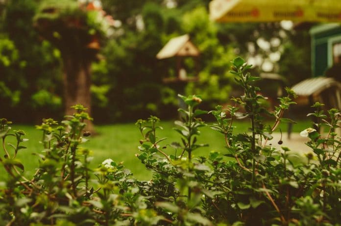 conseils pour aménager un petit jardin