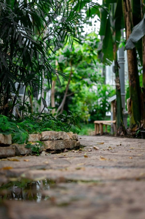 conseils pour aménager un petit jardin