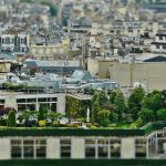 Végétalisation des villes, un enjeu d’actualité toit végétalisé - végétalisation urbaine