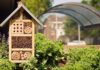 Hôtel à insectes : nos conseils pour bien l’utiliser Hôtel à insectes