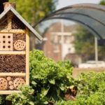 Hôtel à insectes : nos conseils pour bien l’utiliser Hôtel à insectes