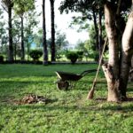 Comment entretenir un grand jardin de manière efficace ? comment entretenir un grans jardin