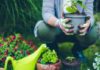 5 principes à respecter pour créer un jardin bio créer un jardin bio