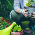 5 principes à respecter pour créer un jardin bio créer un jardin bio