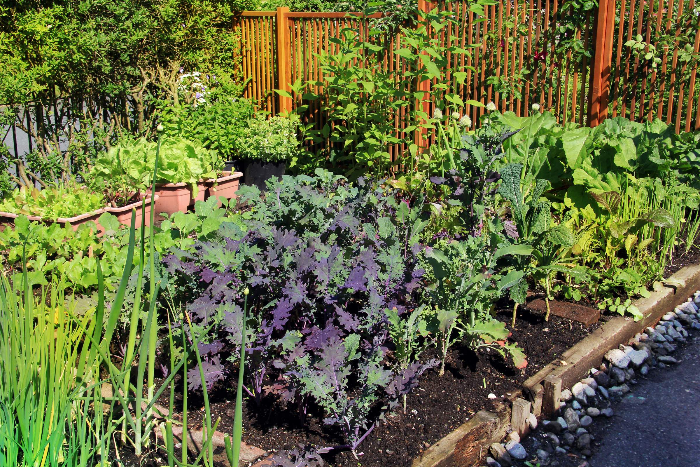 organiser un jardin pour favoriser la biodiversité