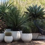 Les dernières décorations dans les supports floraux pour vivre mieux ou par amour des plantes supports floraux