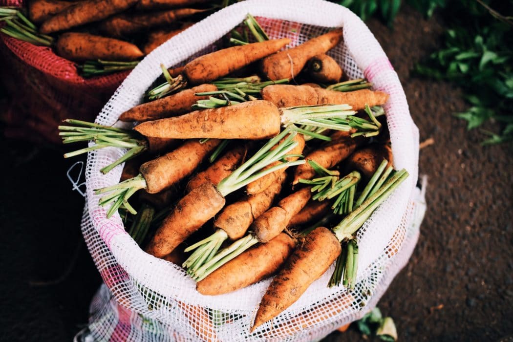 Comment bien semer des carottes dans son potager ?