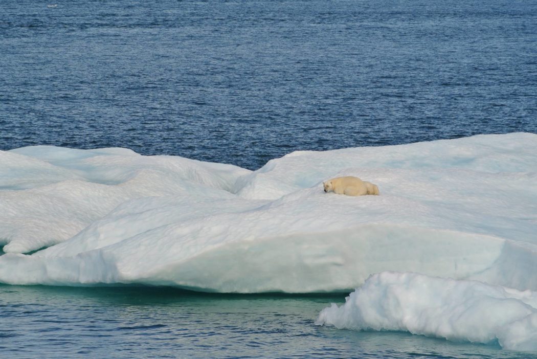 rechauffement-climatique(1)