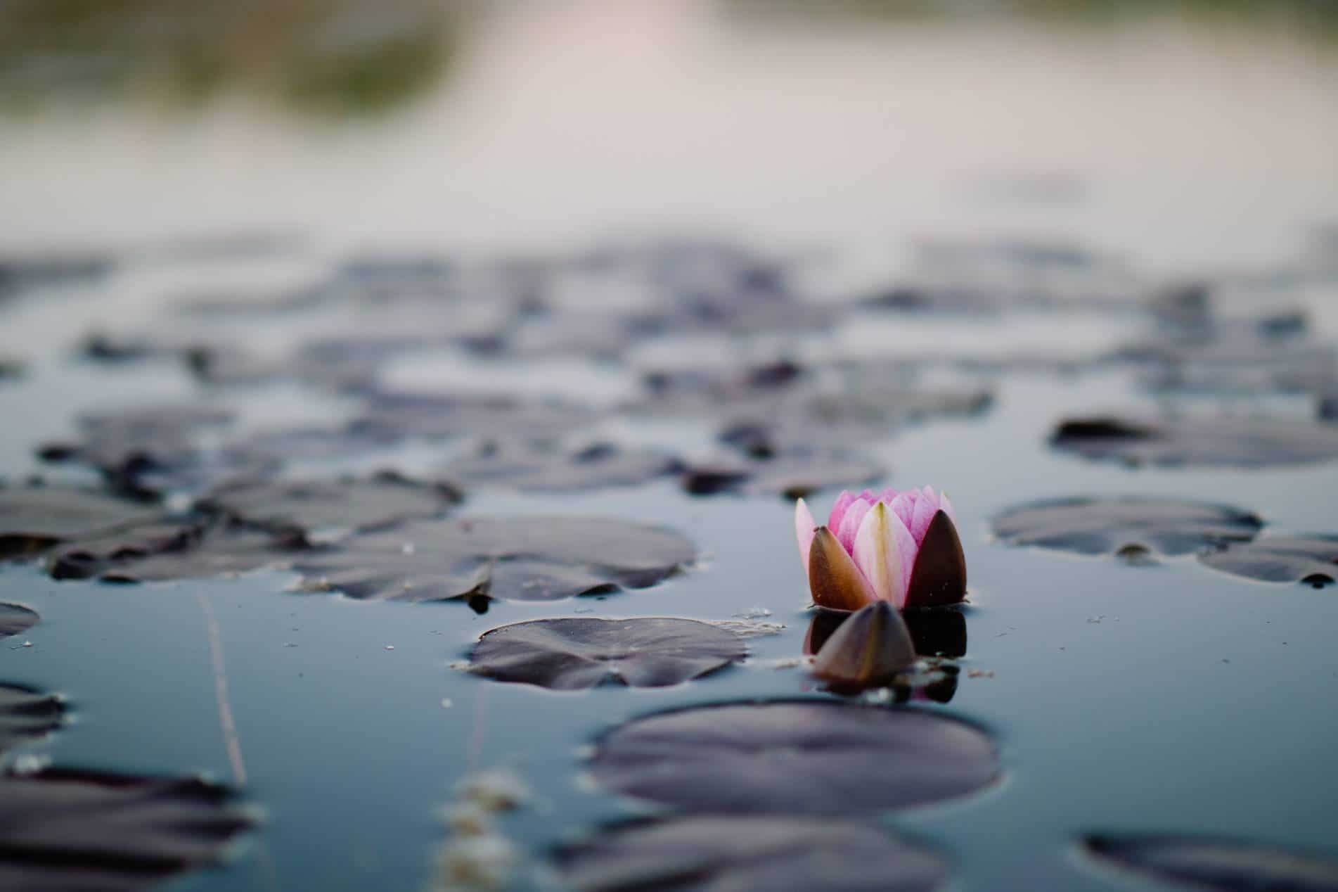 11 idées et aménagements pour vraiment se détendre dans son jardin