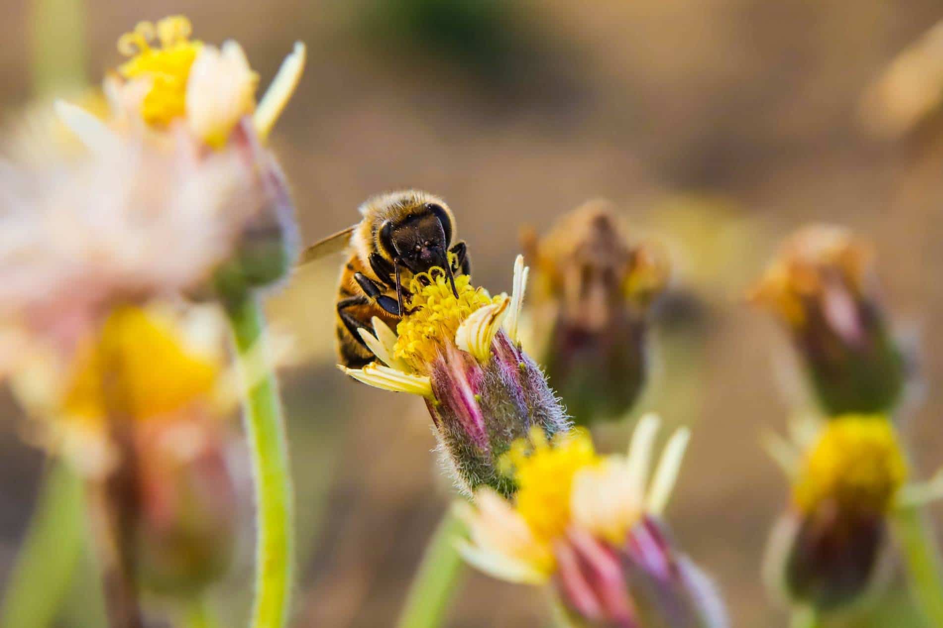 11 idées et aménagements pour vraiment se détendre dans son jardin
