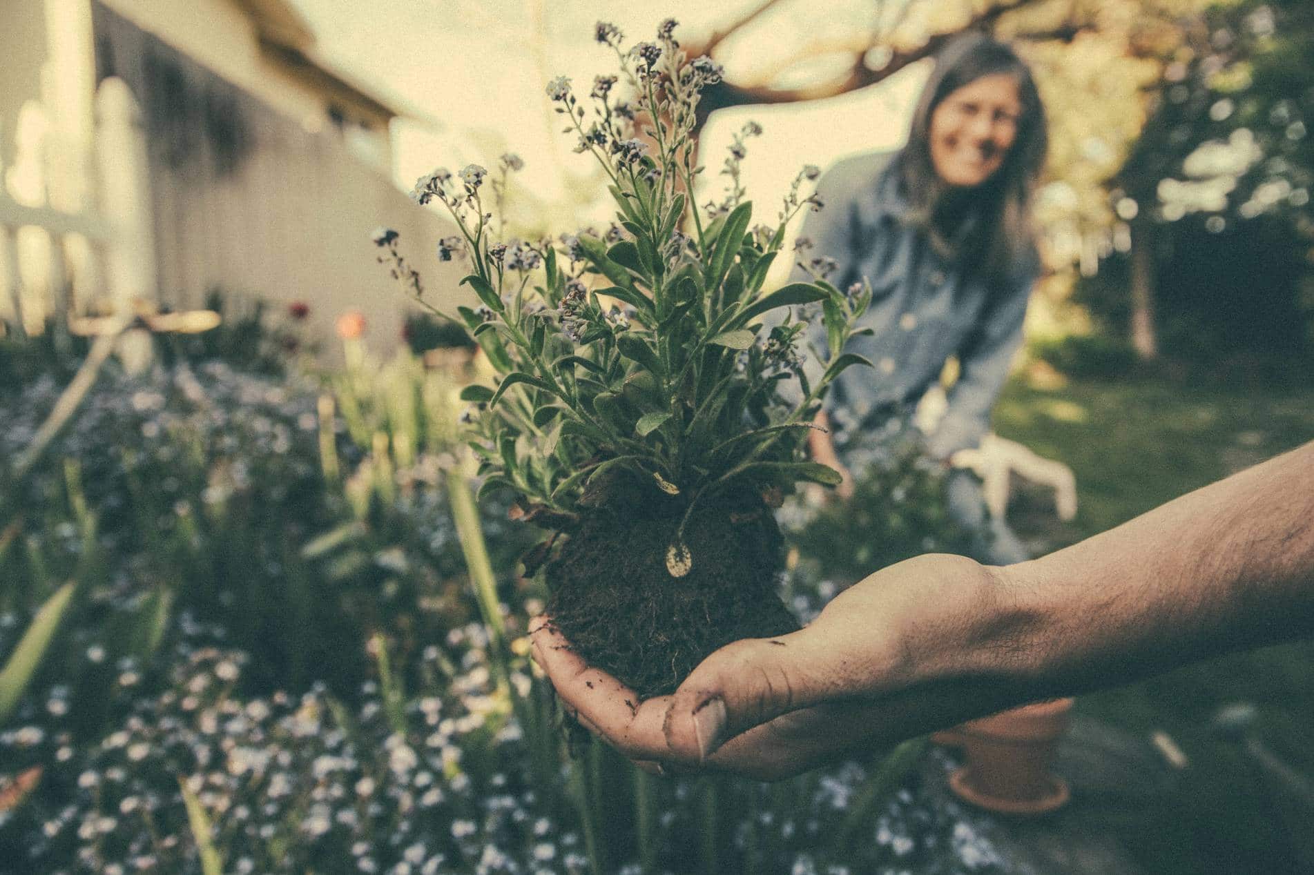 11 idées et aménagements pour vraiment se détendre dans son jardin