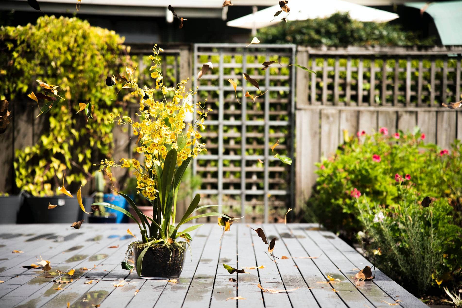 11 idées et aménagements pour vraiment se détendre dans son jardin
