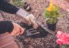 Que faire au jardin en mars ? Plantations, entretien etc… que faire au jardin en mars.jpg