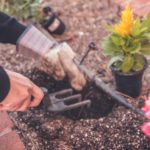 Que faire au jardin en mars ? Plantations, entretien etc… que faire au jardin en mars.jpg