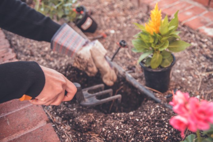 que faire au jardin en mars.jpg