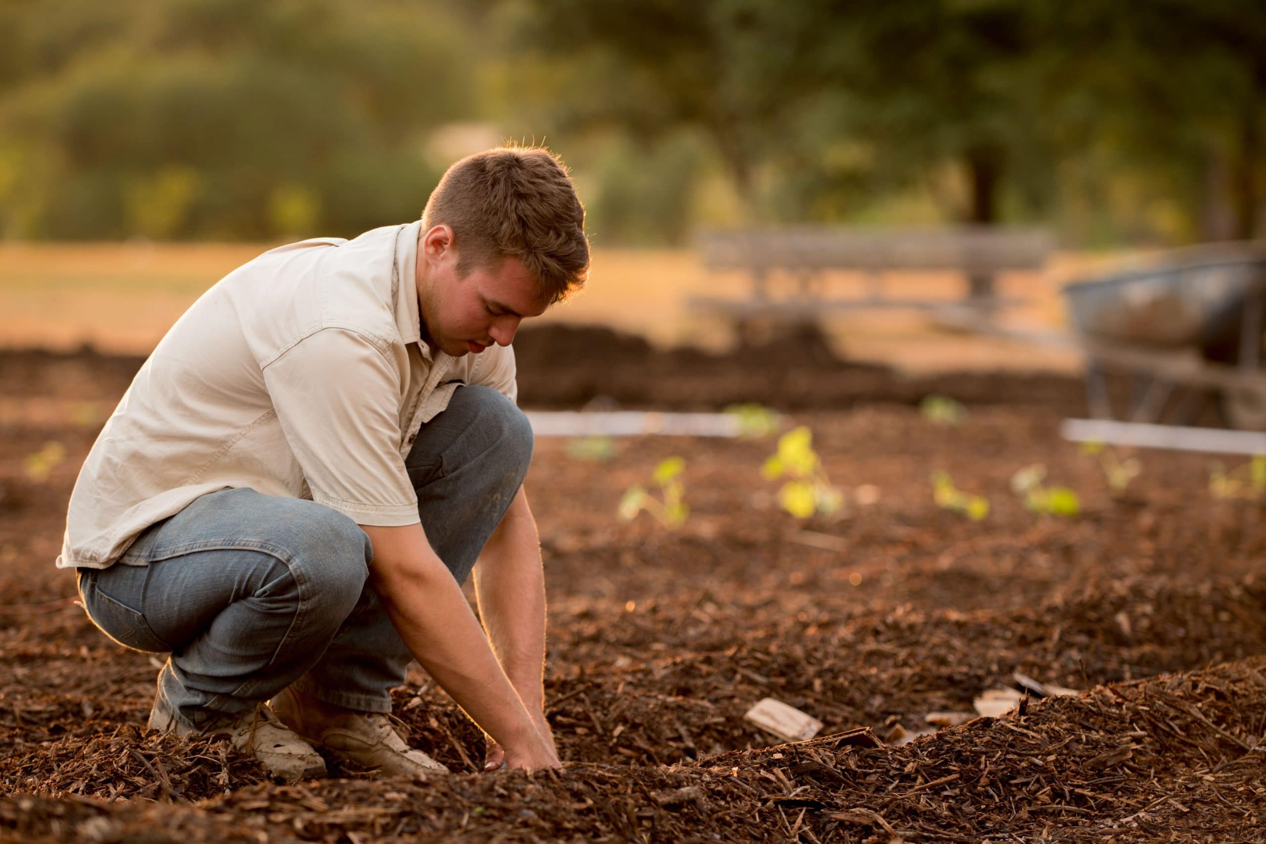 que faire au jardin en mars.jpg