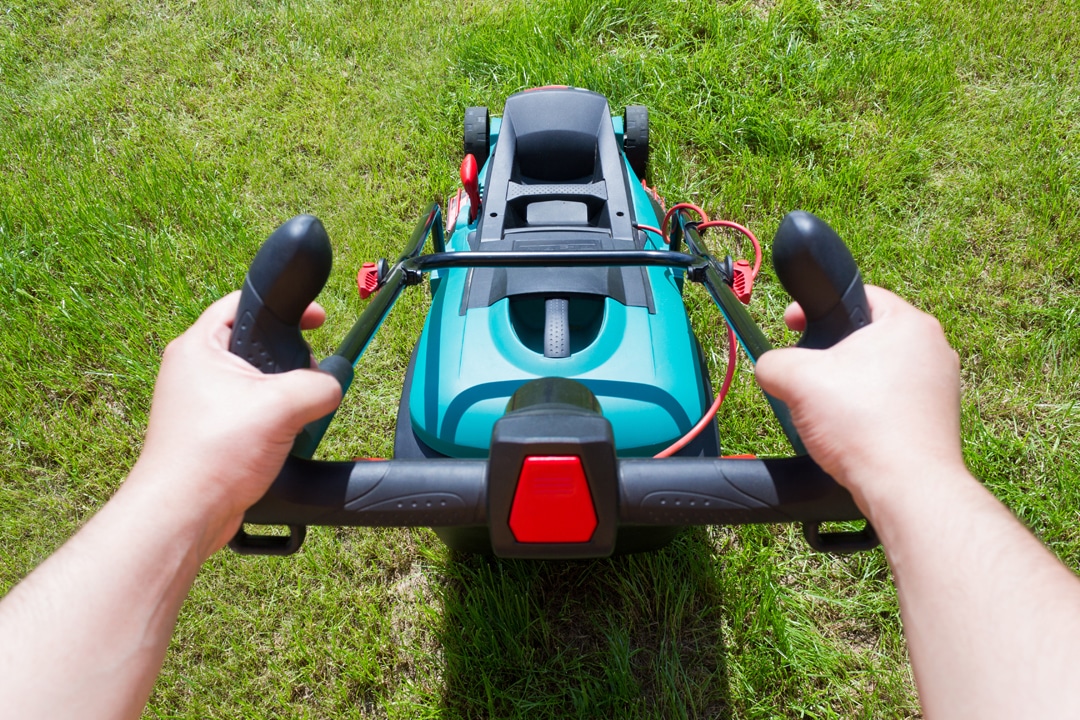 que faire au jardin en Mars