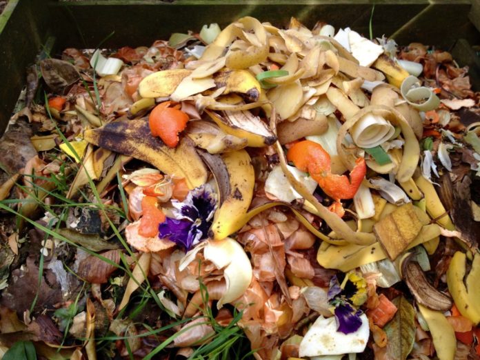 déchets composteur