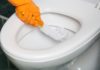 Comment détartrer un WC très entartré de manière naturelle détartrer un WC de manière naturelle