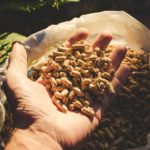 Comment choisir ses granulés de bois pour un chauffage efficace et durable ? Le poêle à granulés : succès pour ce chauffage au top !