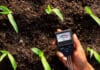 Terre acide : causes, inconvénients, quels végétaux planter? Terre acide causes, inconvénients, quels végétaux planter