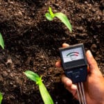 Terre acide : causes, inconvénients, quels végétaux planter? Terre acide causes, inconvénients, quels végétaux planter