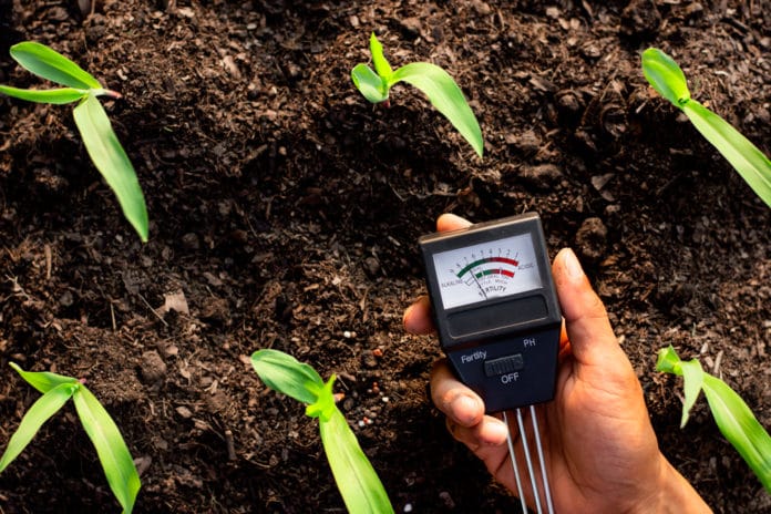 Terre acide causes, inconvénients, quels végétaux planter