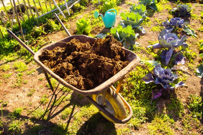 Potasse organique son rôle pour le jardin