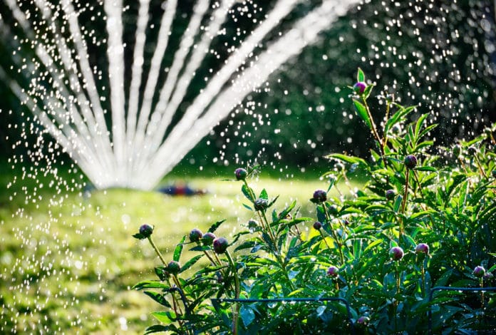 Quel arrosage automatique pour son jardin et son potager Quel arrosage automatique pour son jardin et son potager