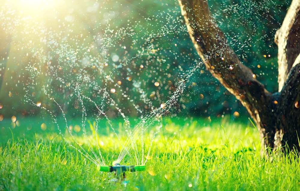 arrosage automatique jardin